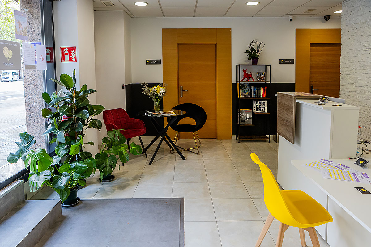 Waiting area at Sunlight Language School in Barcelona - cozy armchairs, plants, and a bookshelf